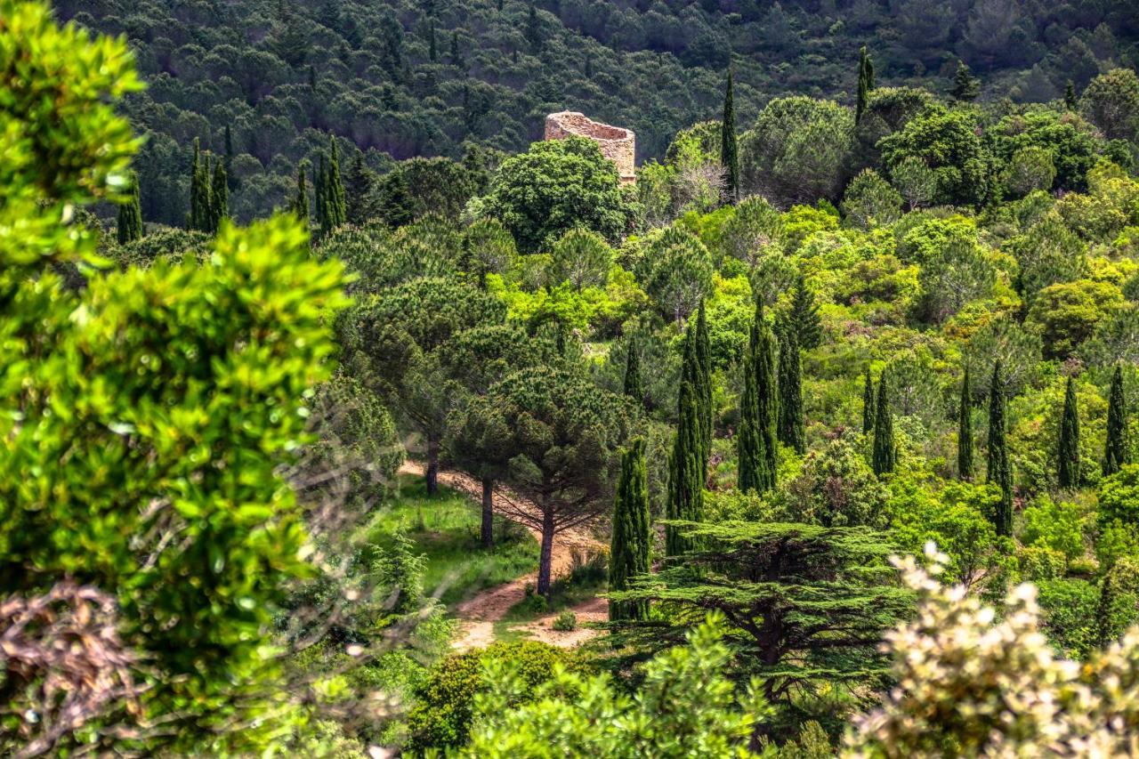 Chateau De Siran - Hotel & Spa エクステリア 写真